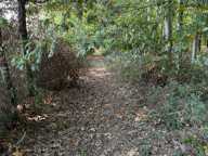 Vente Surface diverse 45 000 m&sup2; — photo 3