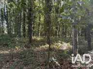 Vente Surface diverse 45 000 m&sup2; — photo 4