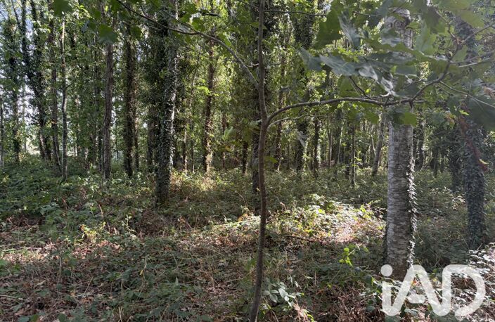 Vente Surface diverse 45 000 m&sup2; — photo 4