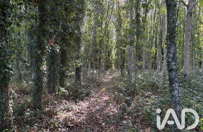 Vente Surface diverse 45 000 m&sup2; — photo 5