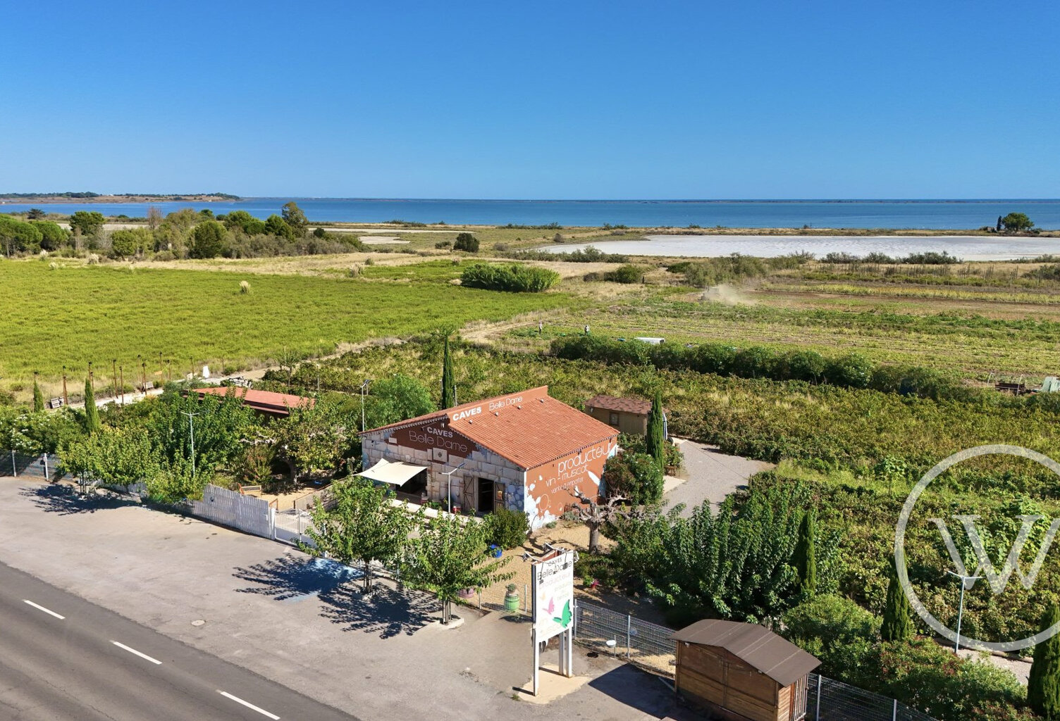 Immobilier Professionnel à vendre Mireval — photo 1