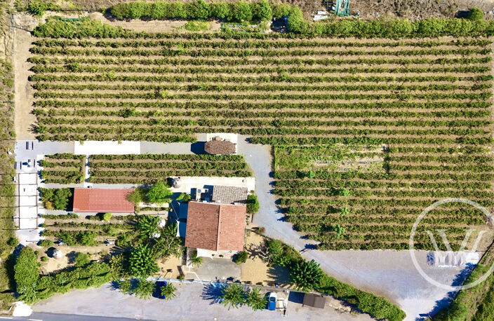 Immobilier Professionnel à vendre Mireval — photo 2