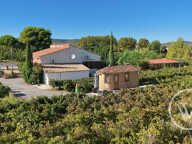 Immobilier Professionnel à vendre Mireval — photo 4