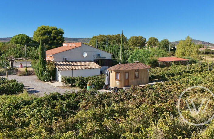 Immobilier Professionnel à vendre Mireval — photo 4