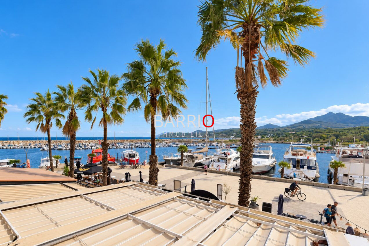Appartement  T3 à vendre Argelès-sur-Mer 66700