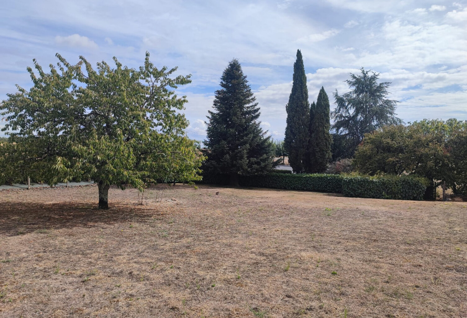 Terrain à bâtir à Sauveterre-de-Guyenne (33540) — photo 1
