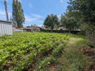Terrain à vendre au cœur du bourg – 432 m² à Saint-Georges-de-Reintembault(35) — photo 3