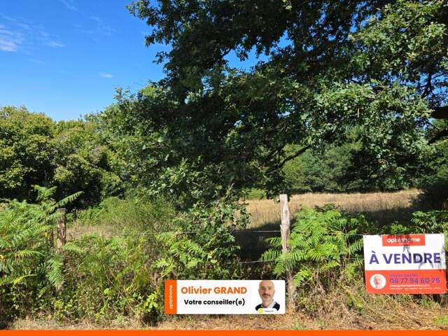 TERRAIN CONSTRUCTIBLE  + AGRICOLE - ENVIRONNEMENT CAMPAGNE — photo du bien