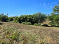 TERRAIN CONSTRUCTIBLE  + AGRICOLE - ENVIRONNEMENT CAMPAGNE — photo 2