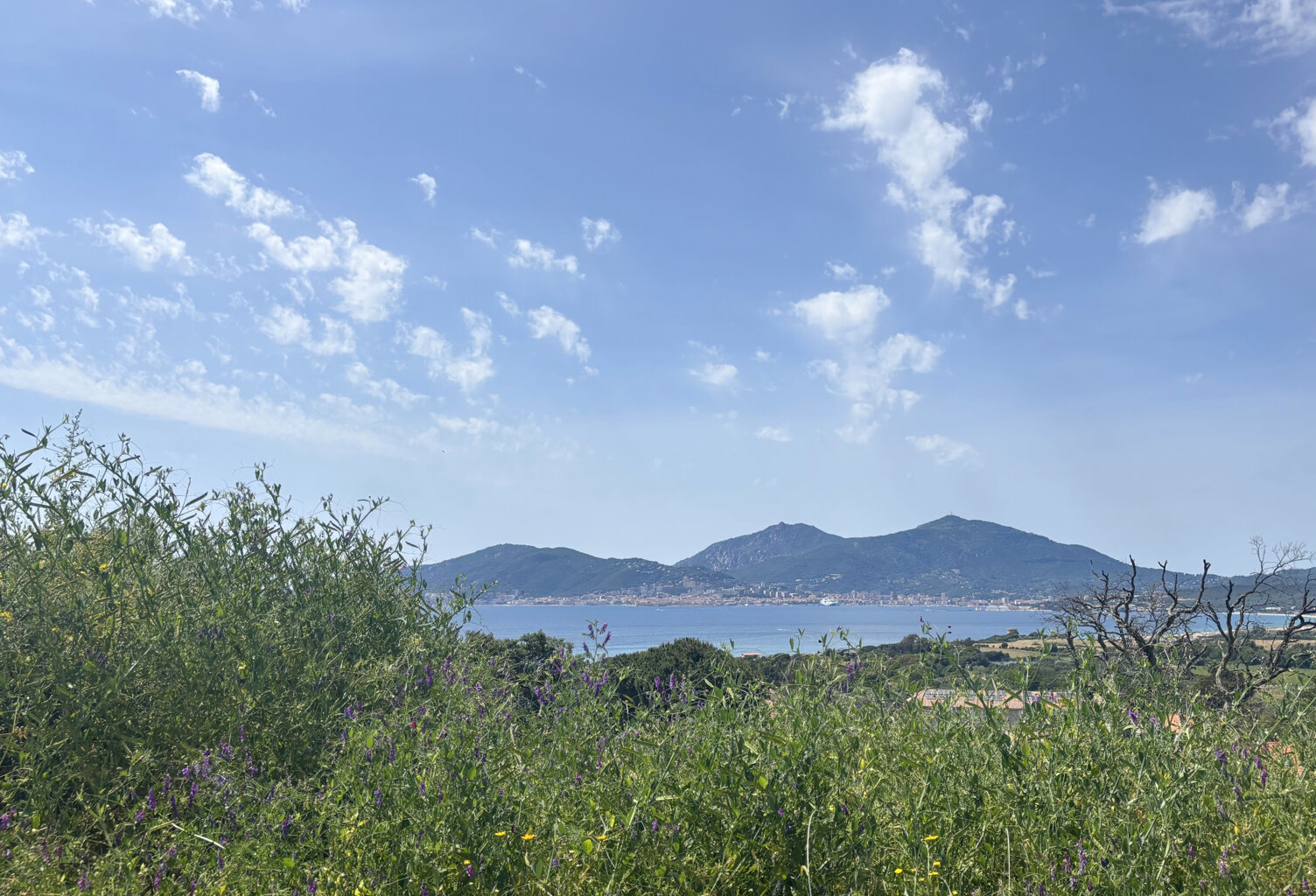 TERRAINS CONSTRUCTIBLES VUE MER   PORTICCIO — photo 1