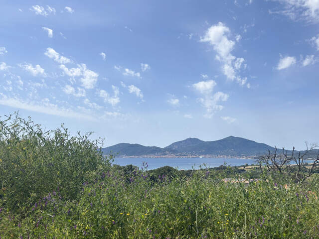 TERRAINS CONSTRUCTIBLES VUE MER   PORTICCIO — photo du bien
