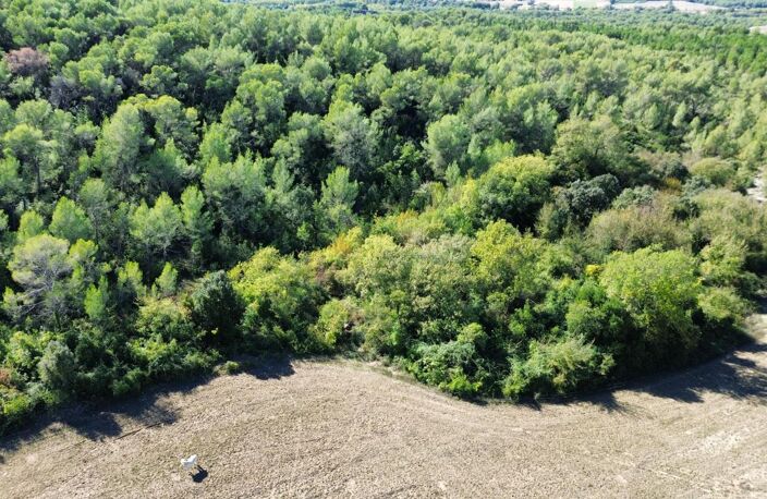 À VENDRE – TERRAIN NON CONSTRUCTIBLE – SAINT-VINCENT-DE-BARBEYRARGUES (34) — photo 2