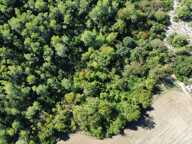 À VENDRE – TERRAIN NON CONSTRUCTIBLE – SAINT-VINCENT-DE-BARBEYRARGUES (34) — photo 3