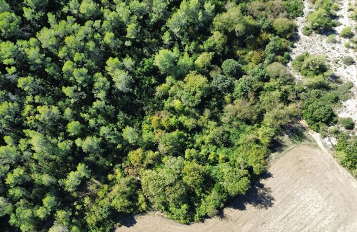 À VENDRE – TERRAIN NON CONSTRUCTIBLE – SAINT-VINCENT-DE-BARBEYRARGUES (34) — photo 3