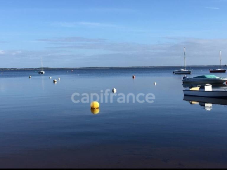 LACANAU LAC – EN 1ERE LIGNE - TERRAIN D'EXCEPTION DE 883M2 – PLEIN SUD – VIABILISE — photo 1