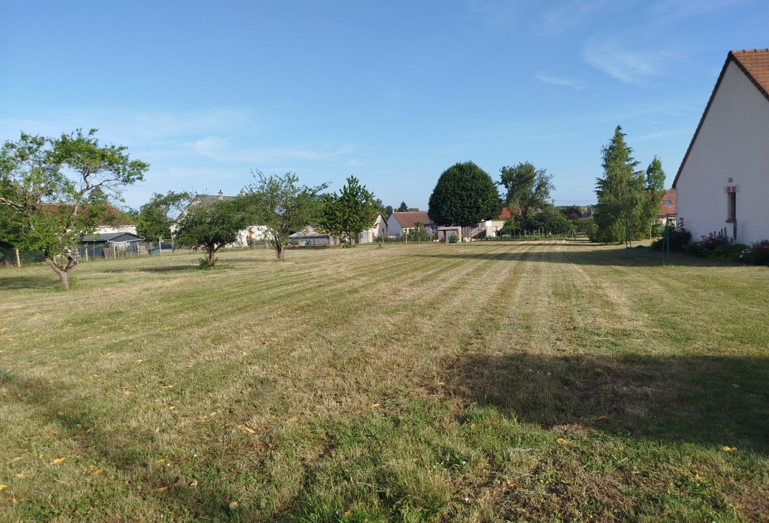 Terrain de 981 m2 à vendre  SAMBIN (41) — photo 1