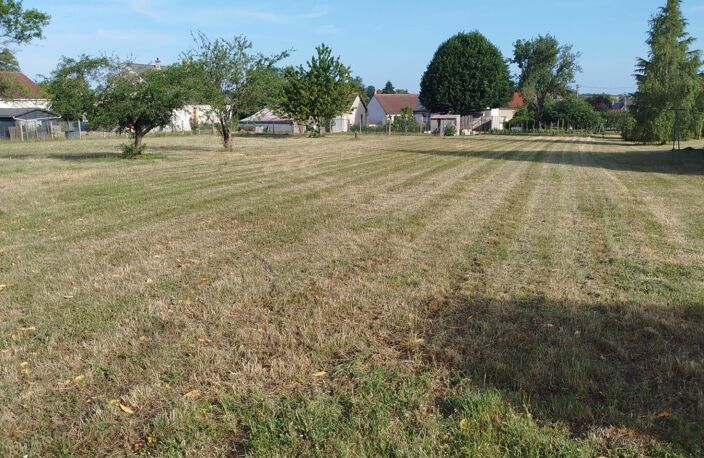 Terrain de 981 m2 à vendre  SAMBIN (41) — photo 2