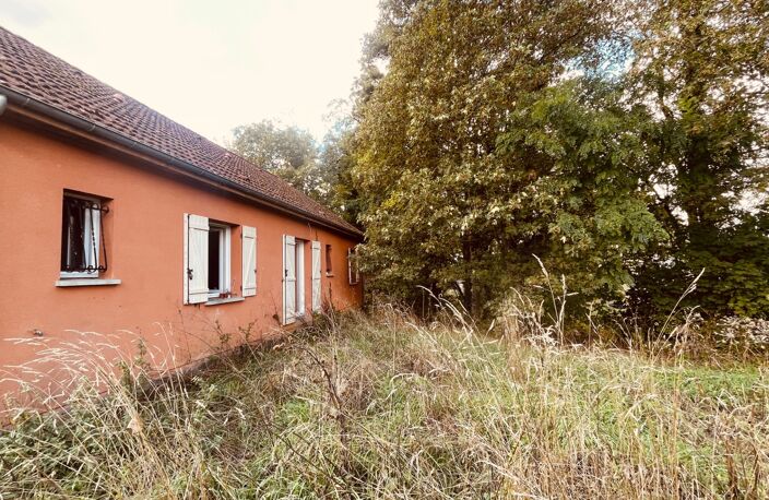 PAVILLON DE PLAIN-PIED 3 CHAMBRES DOUBLE SEJOUR ET JARDIN LA CHARITE SUR LOIRE (58) proche NEVERS — photo 3