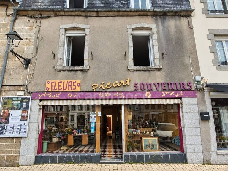 HUELOOGAT – IMMEUBLE , LOGEMENTS ET FORT POTENTIEL — photo 1