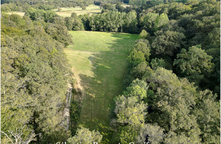 Dordogne (24) Propriété P7 proche de SAINT MARTIN DE FRESSENGEAS (24), terrain 36000m2, rivière, 225m2 habitables — photo 5