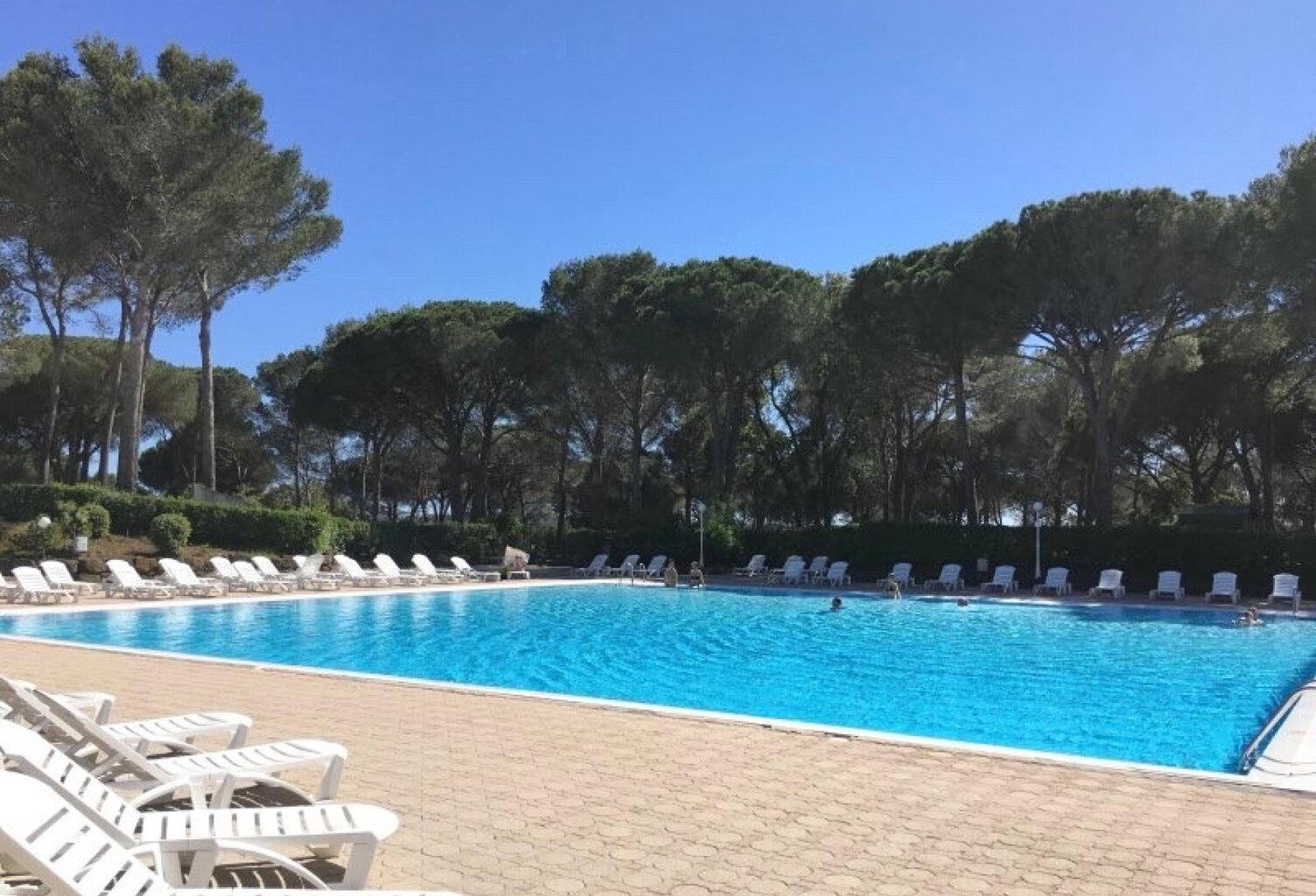 Saint-Raphaël golf de Valescure appartement t1. — photo 1
