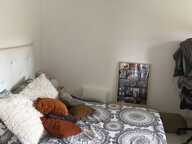 A louer Ollioules T2 40 m2 avec terrasse jardinet et parking privatif — photo 2