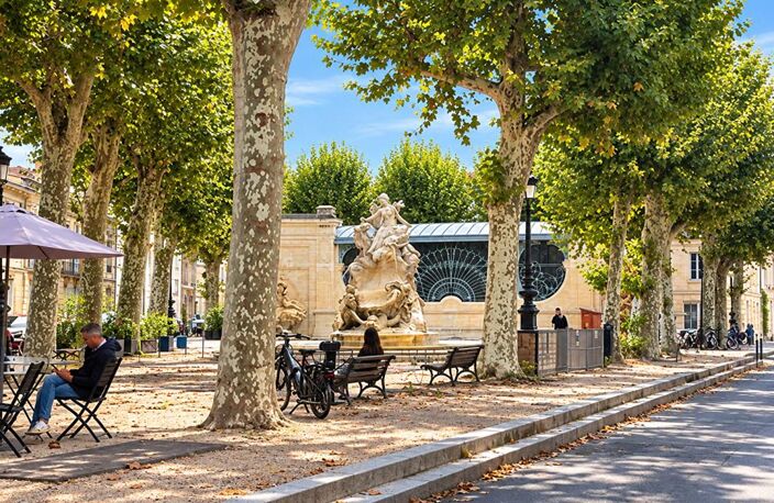 Bordeaux Centre ville, 2 pièces 52 m2 avec jardin 50m2 et cave — photo 5