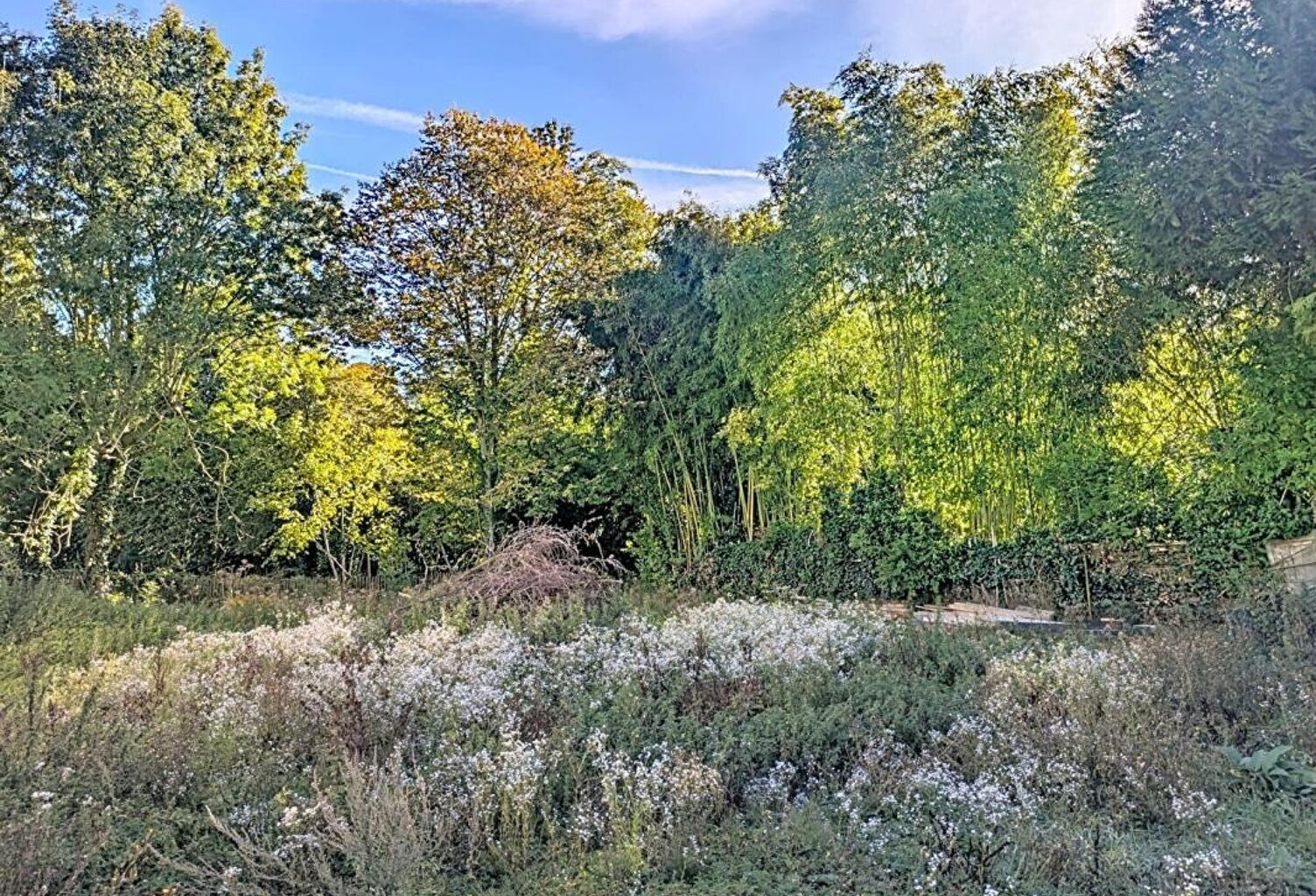 SERAINCOURT - Terrain plat dans la rue de l'école — photo 1