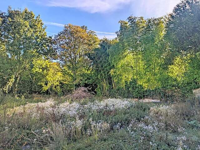 SERAINCOURT - Terrain plat dans la rue de l'école — photo du bien