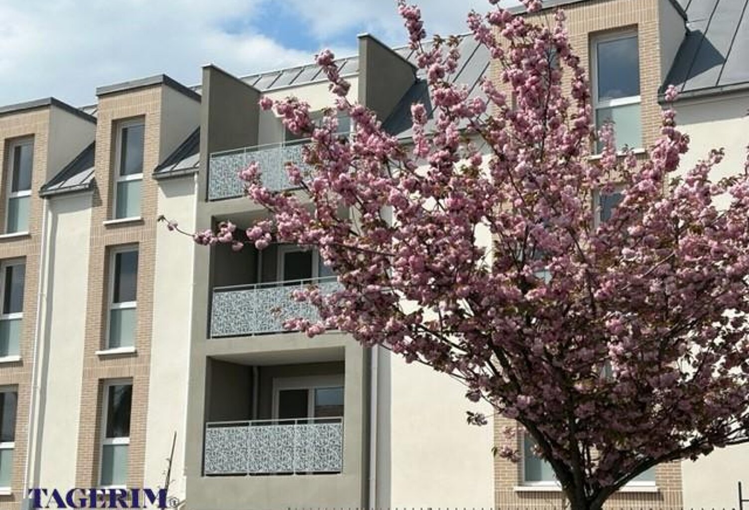 Location appartement 3 pièces 64 m² à Melun (77000) — photo 1