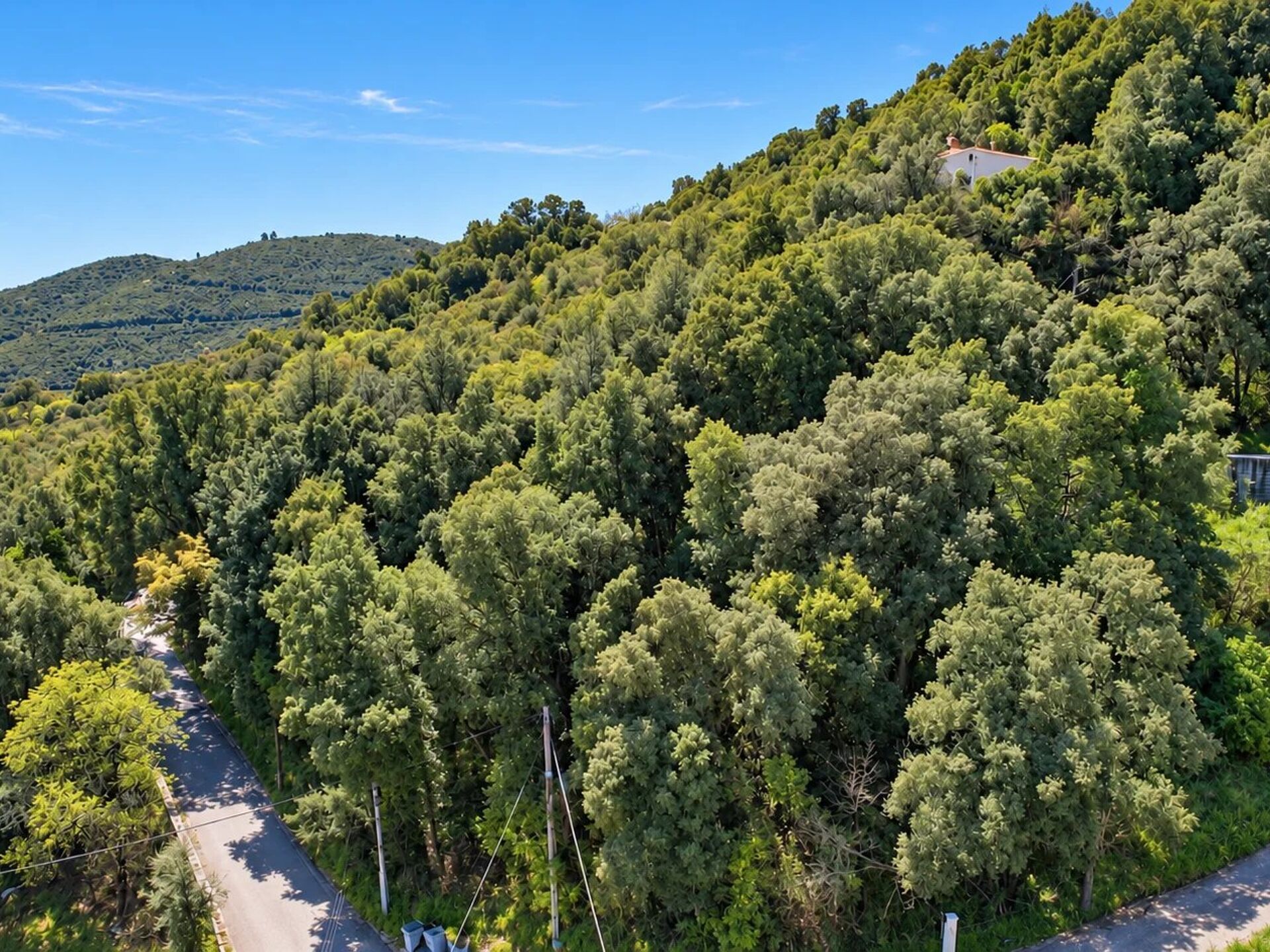 Terrain 1350 m² · à Valle-Di-Mezzana · 99 000 €