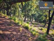 Terrain constructible 1350 m2 — photo 3
