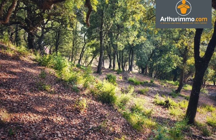 Terrain constructible 1350 m2 — photo 3