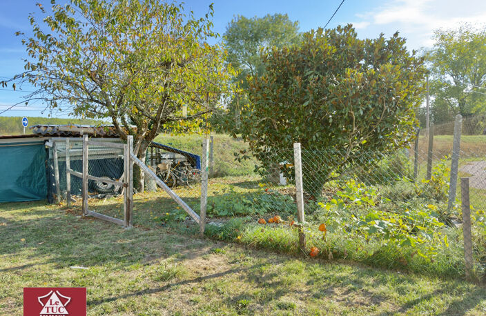 Maison en pierre avec jardin — photo 4