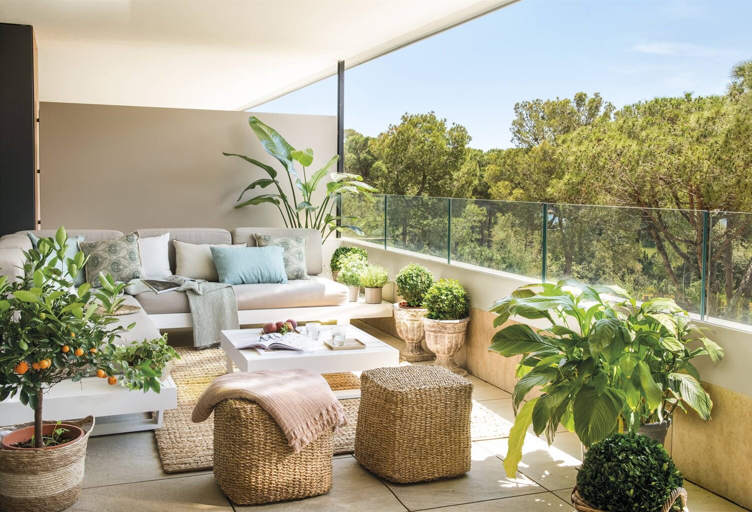 DANS UN ECRIN DE VERDURE A BORMES LES MIMOSAS, MAGNIFIQUE 2 PIECES PLEIN SUD EN DERNIER ETAGE — photo 1