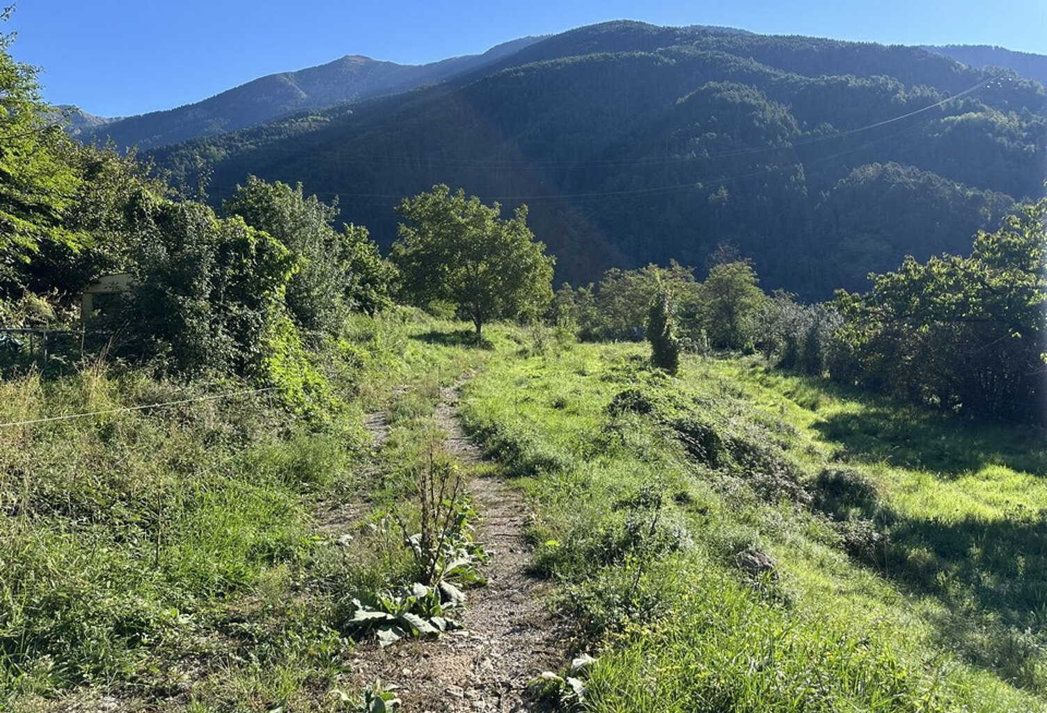 Beau terrain non constructible de 4138 m2 — photo 1