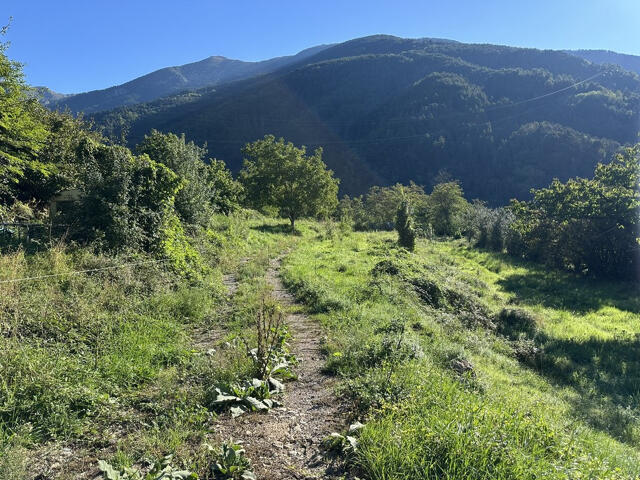Terrain proposé à Roquebillière