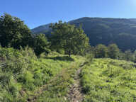 Beau terrain non constructible de 4138 m2 — photo 2