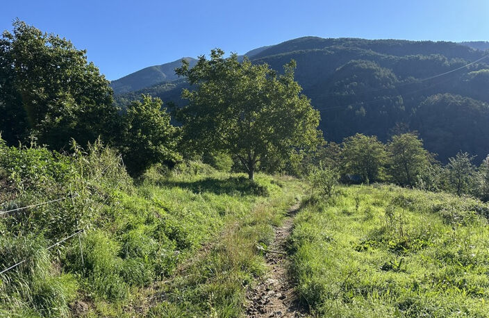 Beau terrain non constructible de 4138 m2 — photo 2