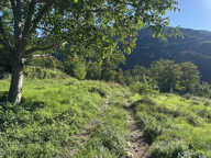 Beau terrain non constructible de 4138 m2 — photo 3