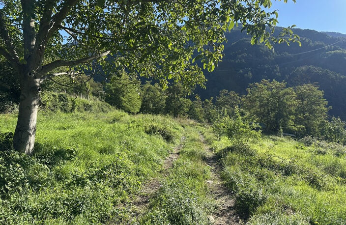 Beau terrain non constructible de 4138 m2 — photo 3