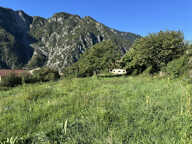 Beau terrain non constructible de 4138 m2 — photo 4