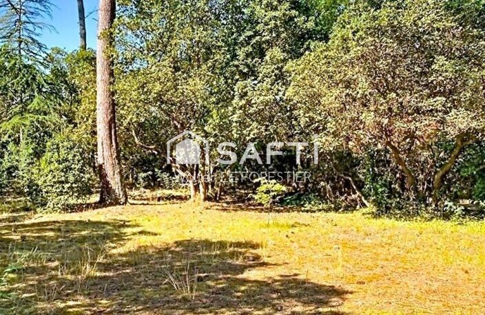 TERRAIN A BATIR A 150 M DU BASSIN D'ARCACHON — photo 5