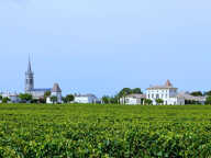 A vendre studio avec garages à Pomerol — photo 4