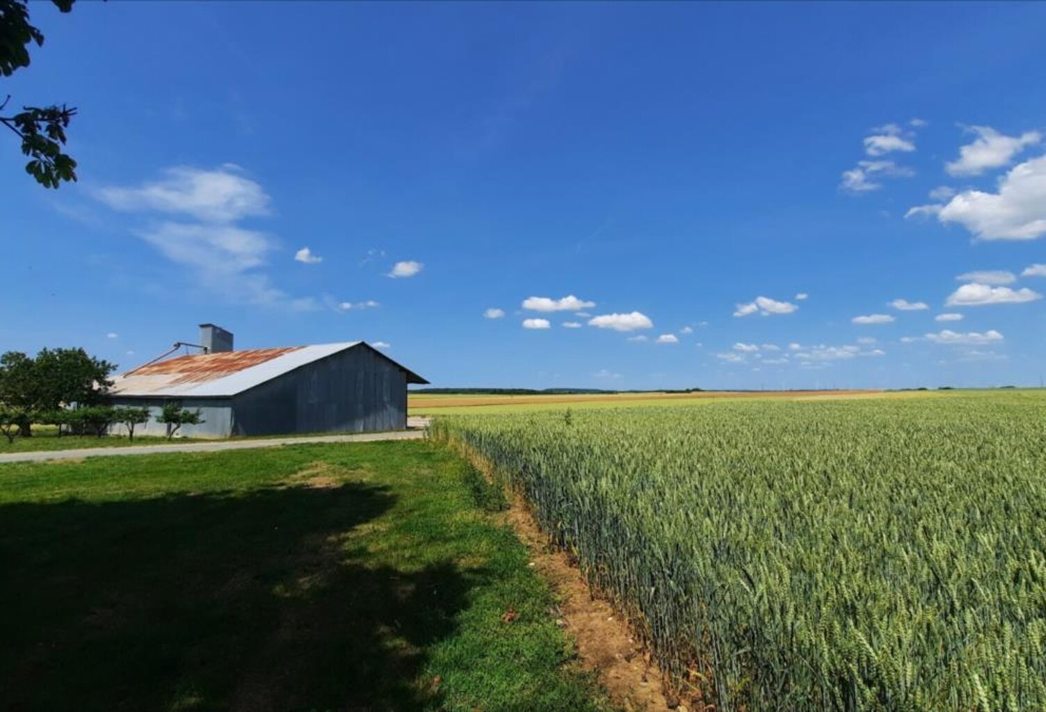 Vente terrain  1060000 m² La Chapelle-Saint-Laurian (36150) — photo 1