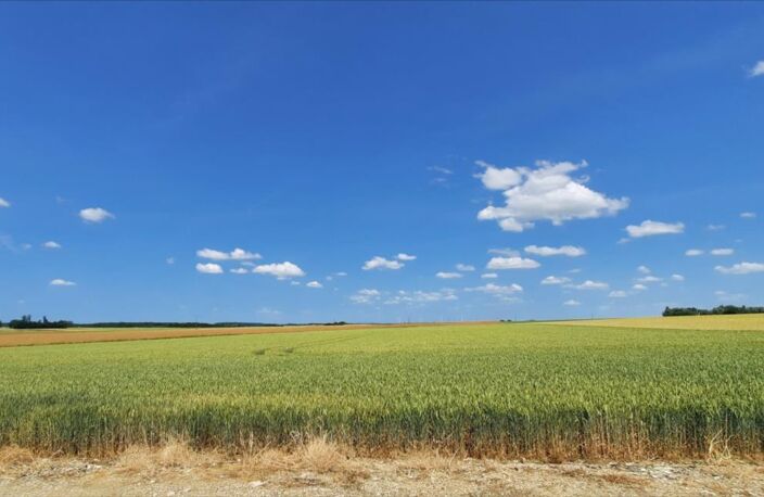 Vente terrain  1060000 m² La Chapelle-Saint-Laurian (36150) — photo 2
