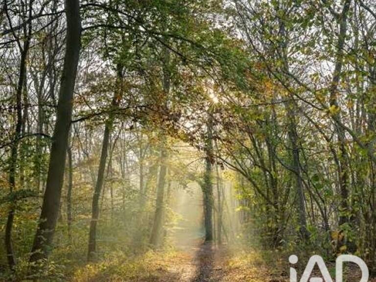 Vente Terrain 6 200 m&sup2; — photo 1