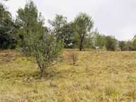 Terrain constructible — photo 4
