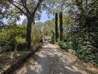 A VENDRE- MAGNIIFIQUE PROPRIETÉ à  St Hippolyte du Fort — photo 2