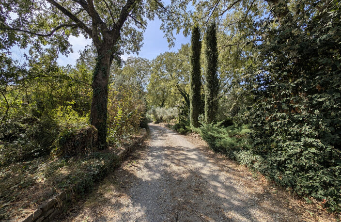 A VENDRE- MAGNIIFIQUE PROPRIETÉ à  St Hippolyte du Fort — photo 2